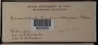 Image Associated With the Occurence